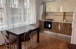 Apartament cu 1 cameră în zona străzii Alexandru Roșca, 47 mp!