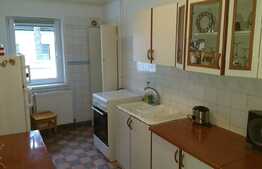 Apartament 2 camere, 52 MP, Zona Astra 