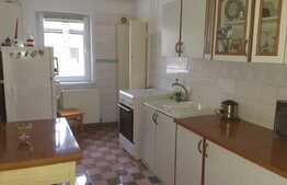 Apartament 2 camere, 52 MP, Zona Astra 