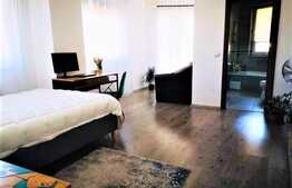 Apartament cu o camera, 52mp si terasa, ansamblul Vision, Marasti