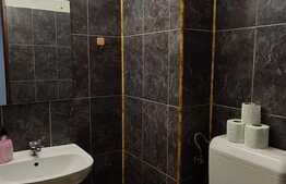 Spatiu comercial, 60 MP, Zona Astra.