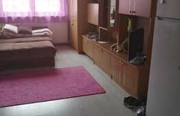 Camera de camin, 24 mp, situata in Centrul Civic