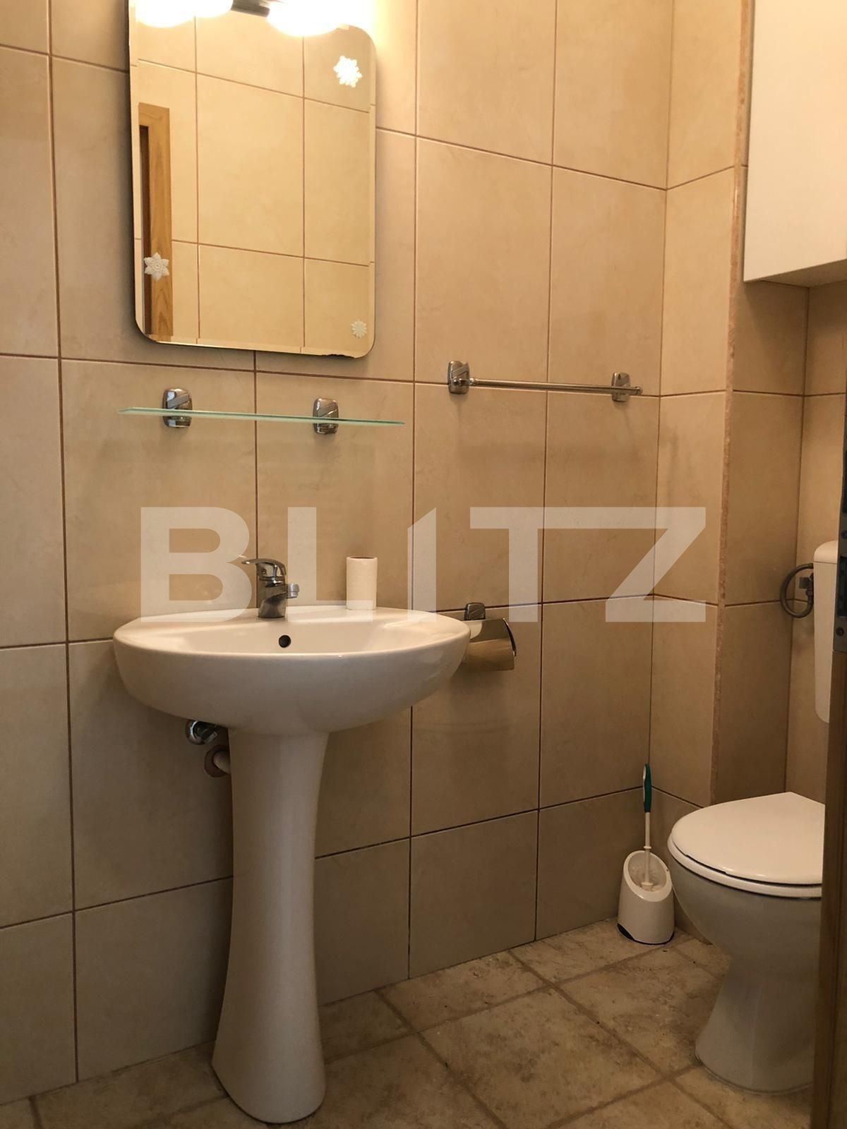 Casa de închiriat 5 camere Bună Ziua - 66662CI | BLITZ Cluj-Napoca | Poza16