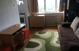 Garsoniera spatioasa,PRIVELISTE DEOSEBITA, 22 mp, zona Stadion CFR