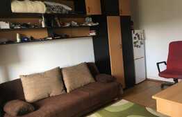 Garsoniera spatioasa,PRIVELISTE DEOSEBITA, 22 mp, zona Stadion CFR