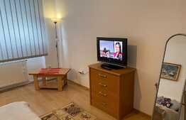 Apartament cu 1 cameră, zona străzii Hașdeu, curte, pet friendly. 