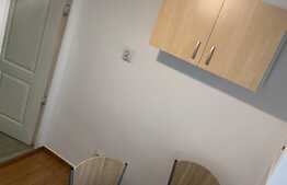 Apartament cu 1 cameră, zona străzii Hașdeu, curte, pet friendly. 