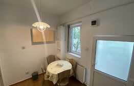 Apartament cu 1 cameră, zona străzii Hașdeu, curte, pet friendly. 