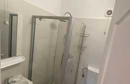 Apartament cu 1 cameră, zona străzii Hașdeu, curte, pet friendly. 