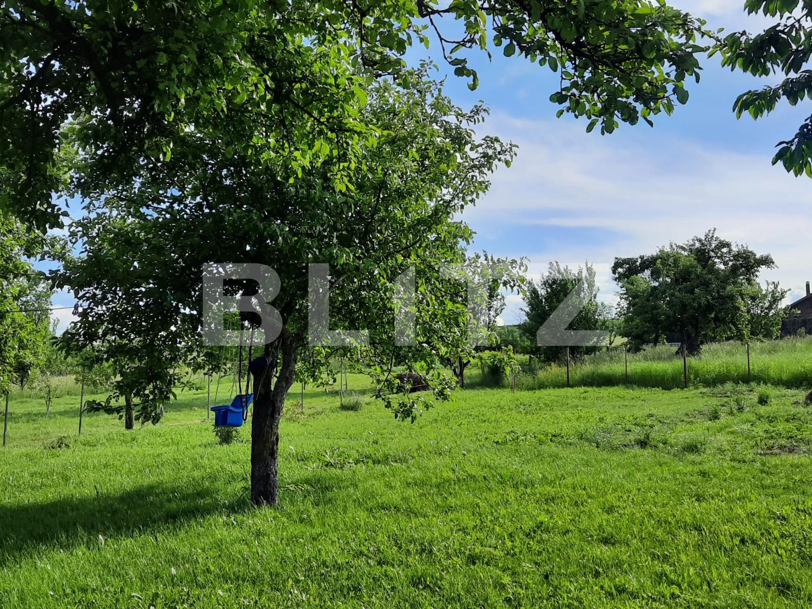 Casa de vânzare 3 camere Făget - 66676CV | BLITZ Cluj-Napoca | Poza12