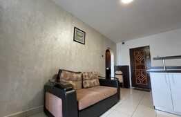 Apartament de 2 camere, modern, ac, 65 mp, zona strazii Dunarii