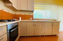 Casa individuala, 300 mp utili, 400 mp curte, 3 parcari, zona Corneliu Coposu