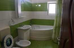 Apartament 2 camere, 56 mp, loc de parcare, zona Terra, pet friendly 