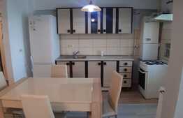 Apartament 2 camere, 56 mp, loc de parcare, zona Terra, pet friendly 