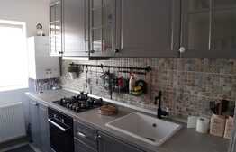 Apartament spatios 2 camere, zona LIDL