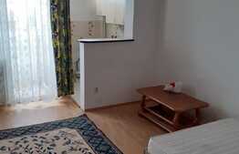 Garsoniera 28 mp, recent renovata, zona strazii Grigore Alexandrescu