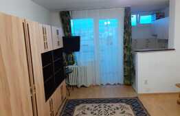 Garsoniera 28 mp, recent renovata, zona strazii Grigore Alexandrescu