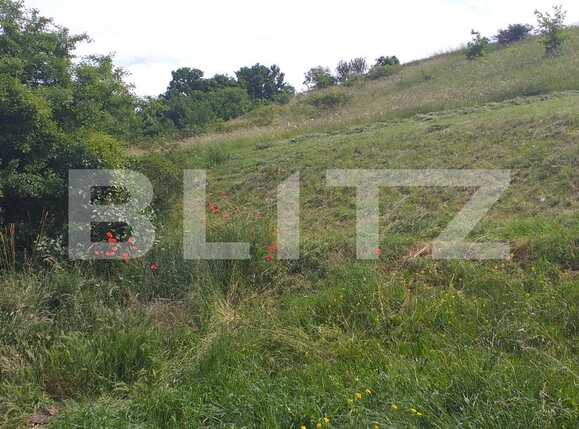 Teren de vânzare Exterior Nord - 66807TV | BLITZ Cluj-Napoca | Poza2