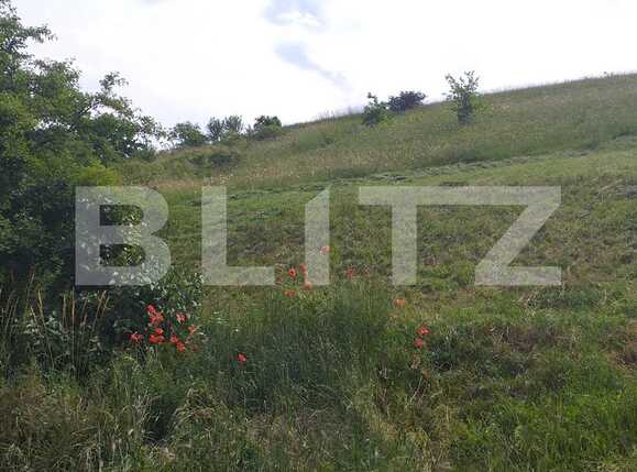 Teren de vânzare Exterior Nord - 66807TV | BLITZ Cluj-Napoca | Poza1