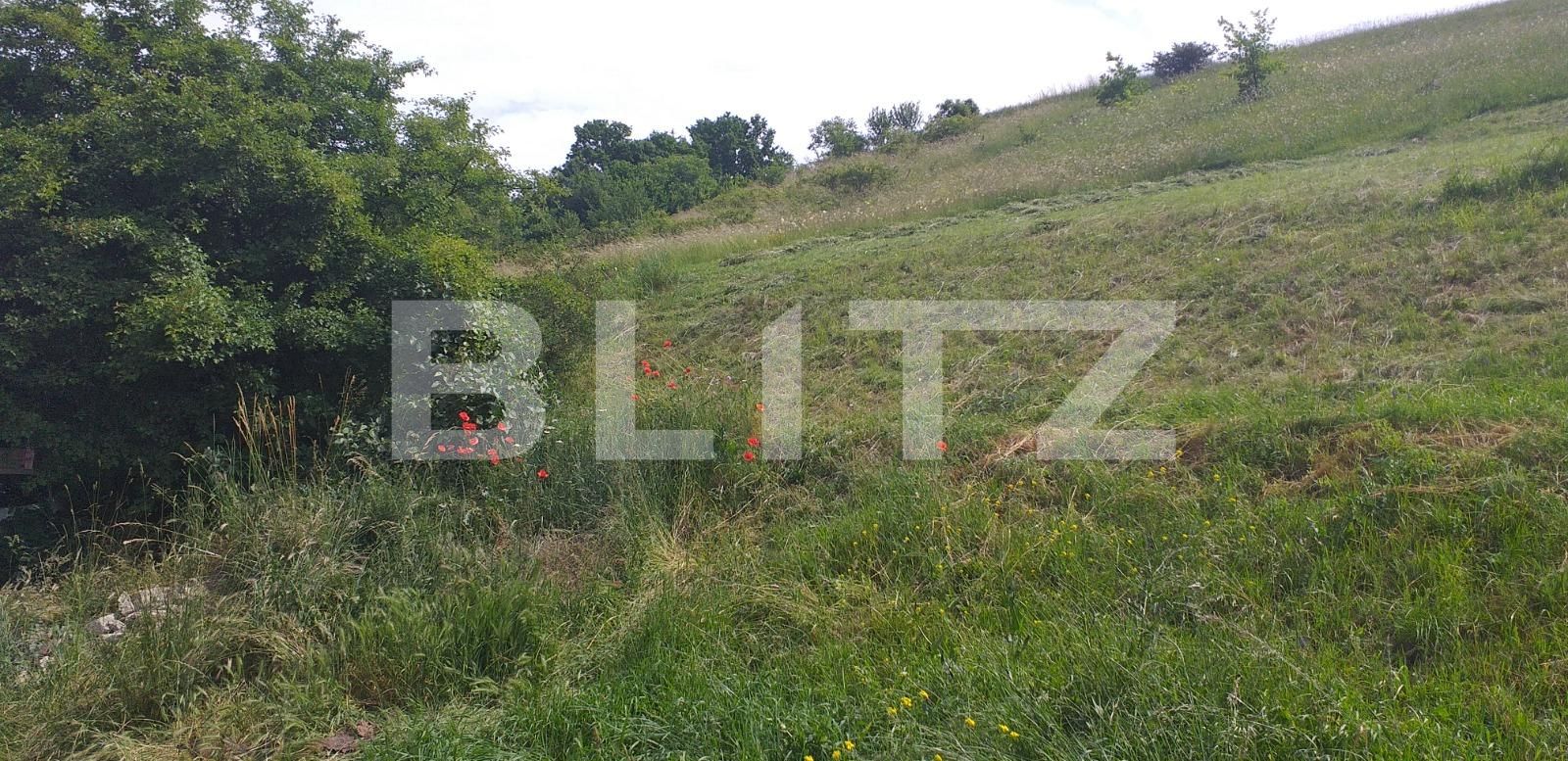 Teren de vânzare Exterior Nord - 66807TV | BLITZ Cluj-Napoca | Poza2