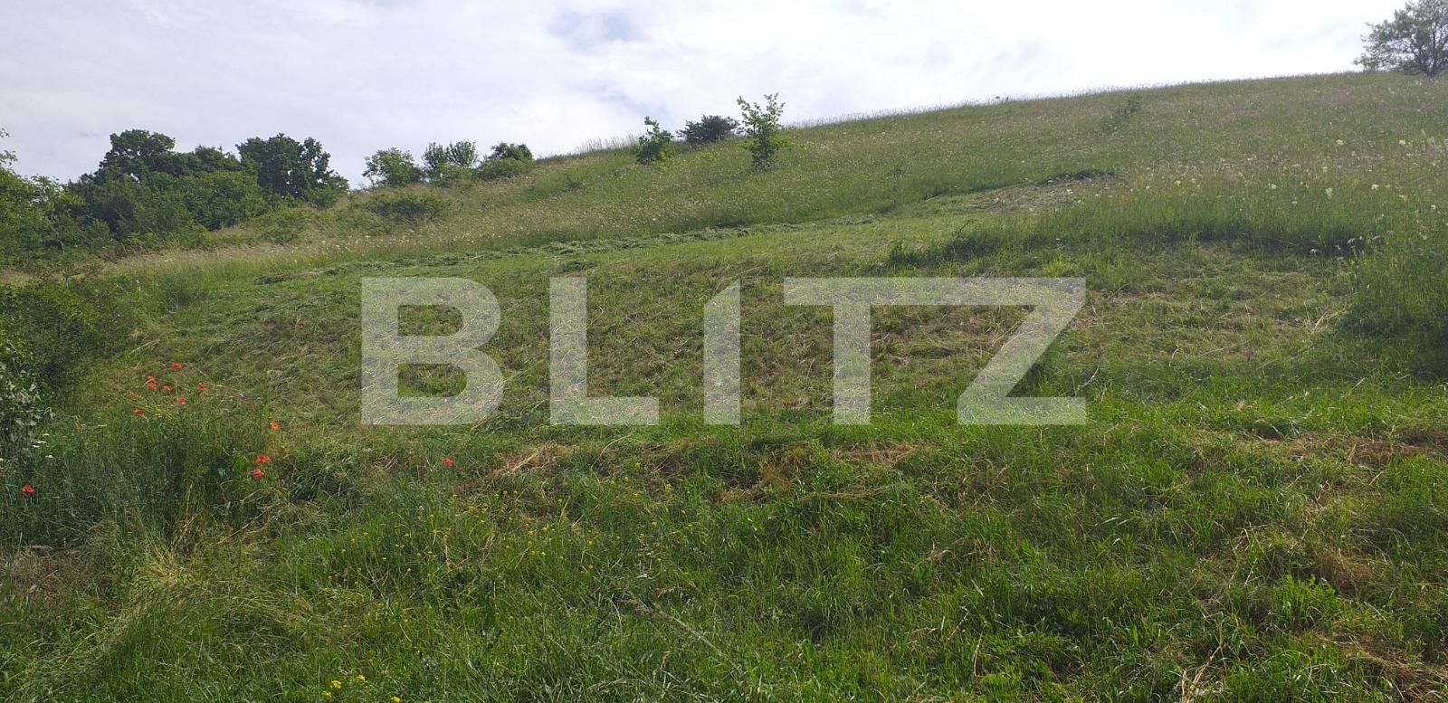 Teren de vânzare Exterior Nord - 66807TV | BLITZ Cluj-Napoca | Poza3