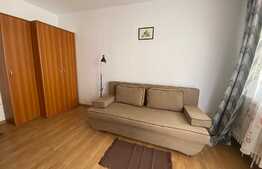 Apartament cu 2 camere decomandate, în zona străzii Trotușului