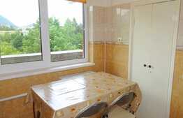 Apartament cu 2 camere 47 mp + balcon 11mp, zona Astra