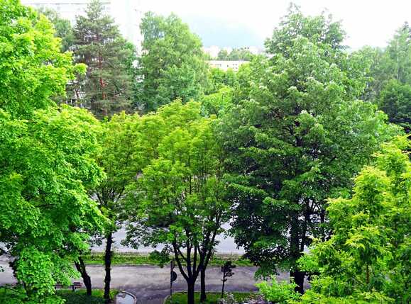 Apartament de închiriat 2 camere Astra - 66817AI | BLITZ Brașov | Poza19