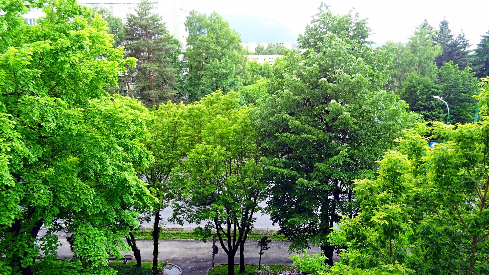 Apartament de închiriat 2 camere Astra - 66817AI | BLITZ Brașov | Poza19