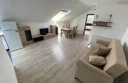 Apartament luminos 2 camere, 56 mp + pod 60mp, zona Florilor!