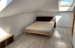 Apartament luminos 2 camere, 56 mp + pod 60mp, zona Florilor!