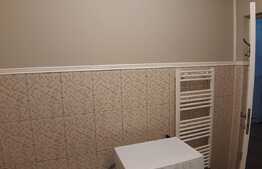 Apartament 2 camere, 47 mp, zona Urusagului 