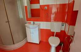 Apartament luminos 2 camere, 49 mp + pod 30mp, zona Florilor!