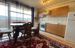 Apartament de 2 camere, open space, zona străzii Saturn. 