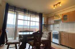 Apartament de 2 camere, open space, zona străzii Saturn. 