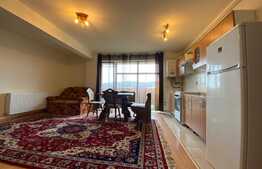 Apartament de 2 camere, open space, zona străzii Saturn. 