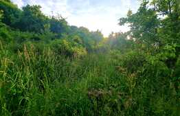 Teren intravilan 1628mp,cu panorama deosebita,in Feleacu