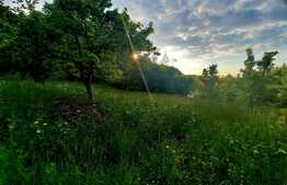 Teren intravilan 1628mp,cu panorama deosebita,in Feleacu