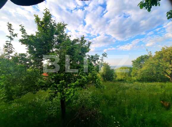 Teren de vânzare Feleacu - 66886TV | BLITZ Cluj-Napoca | Poza9