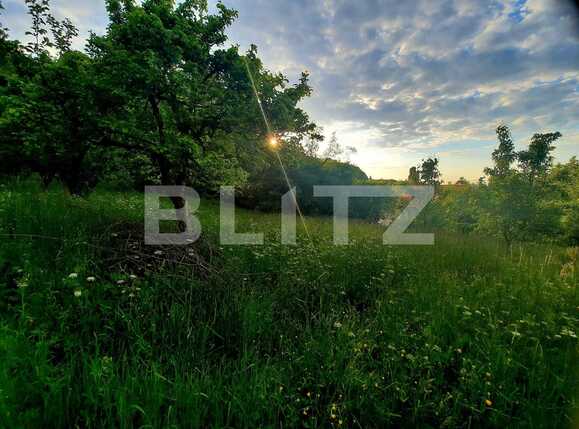 Teren de vânzare Feleacu - 66886TV | BLITZ Cluj-Napoca | Poza10