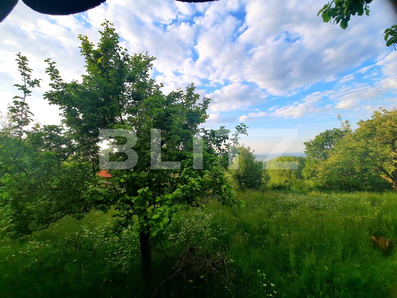 Teren de vânzare Feleacu - 66886TV | BLITZ Cluj-Napoca | Poza9