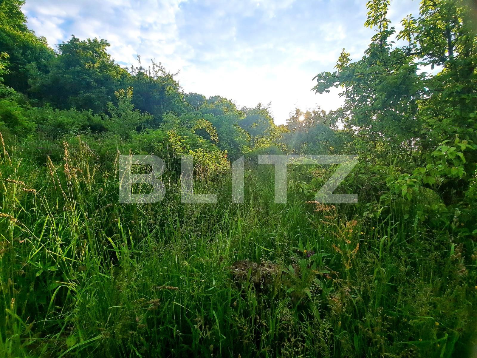 Teren de vânzare Feleacu - 66886TV | BLITZ Cluj-Napoca | Poza12