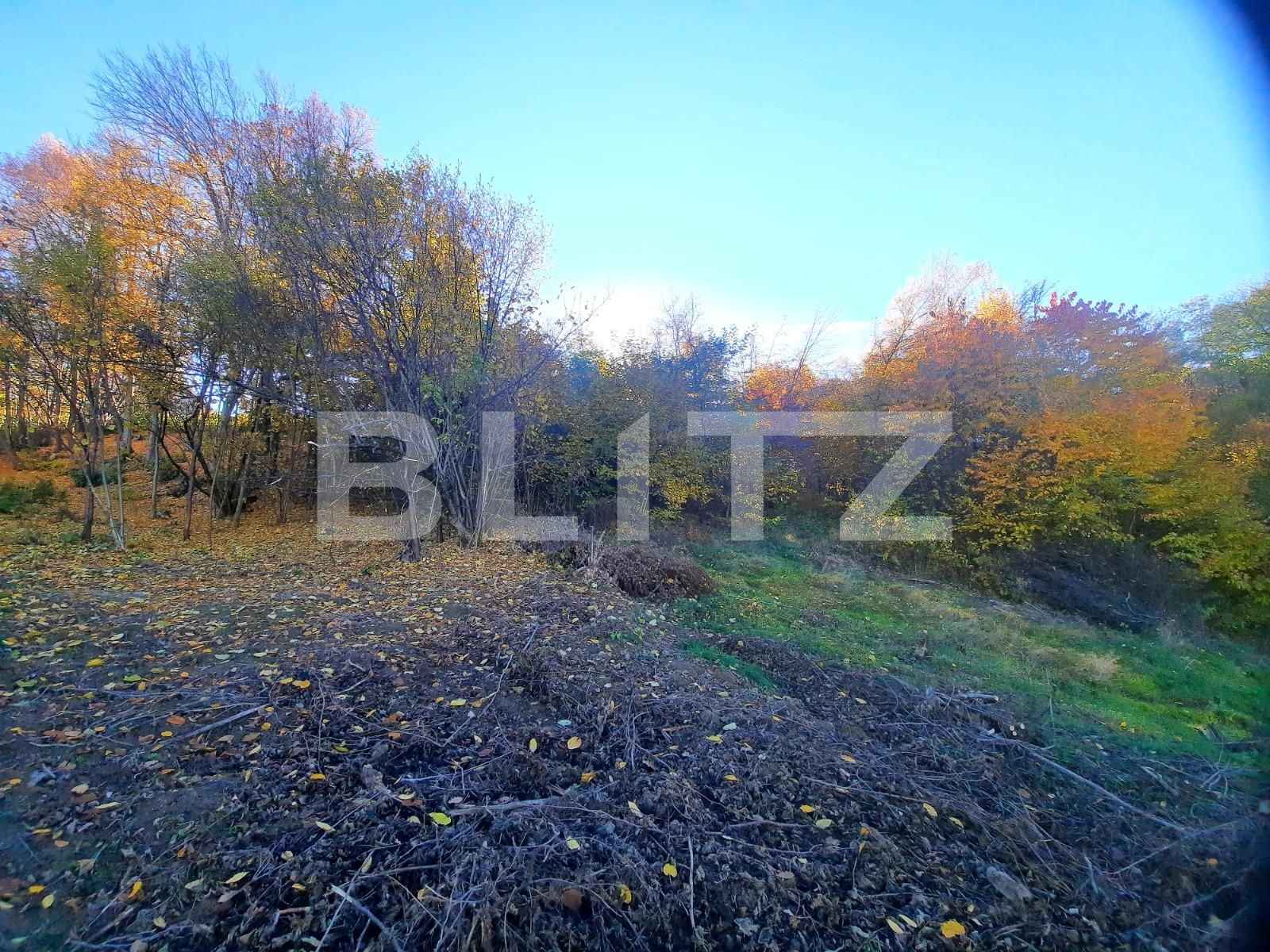 Teren de vânzare Feleacu - 66886TV | BLITZ Cluj-Napoca | Poza5