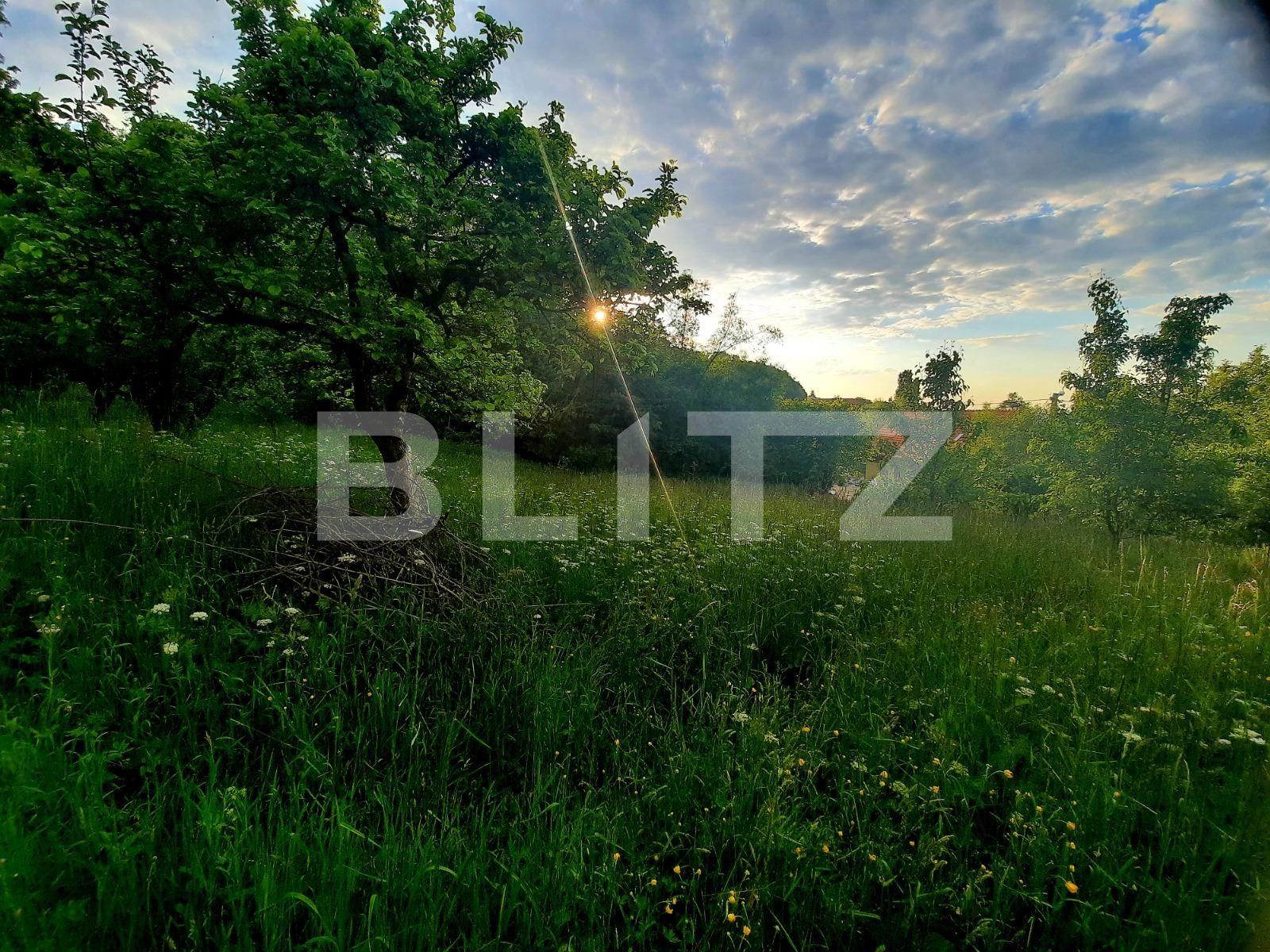 Teren de vânzare Feleacu - 66886TV | BLITZ Cluj-Napoca | Poza10