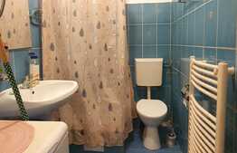 Garsoniera cocheta, 22 mp, cartier Buna ziua