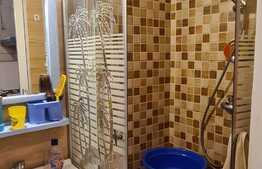 Camera de camin, 22 mp, zona Tractorul