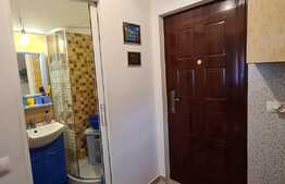 Camera de camin, 22 mp, zona Tractorul