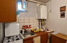 Camera de camin, 22 mp, zona Tractorul