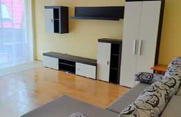 Apartament 2 camere, 46mp, zona Muzeul Apei!