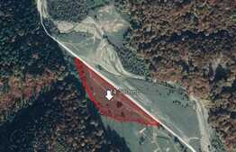 Teren 14.300 mp, Valea Zizinului